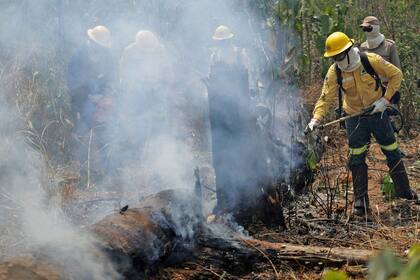 Así trabajan los bomberos en el Amazonas