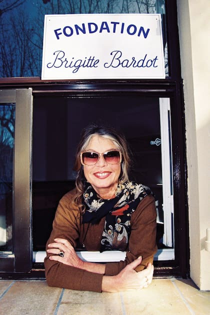 Asomada a una ventana de su fundación de defensa de los animales. Era 1993