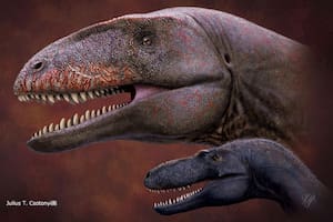 Aspecto de Ulughbegsaurus uzbekistanensis