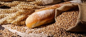 La industria molinera reconfiguró su trabajo porque, dijo, le cuesta conseguir buen trigo para panificar