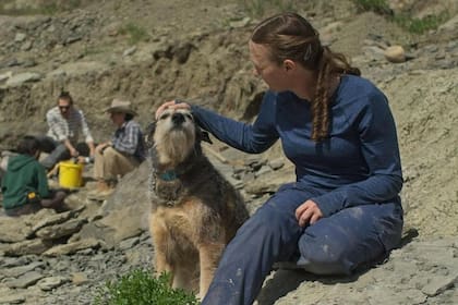 Aster, el perro del profesor Bamforth, realiza tareas de vigilancia
