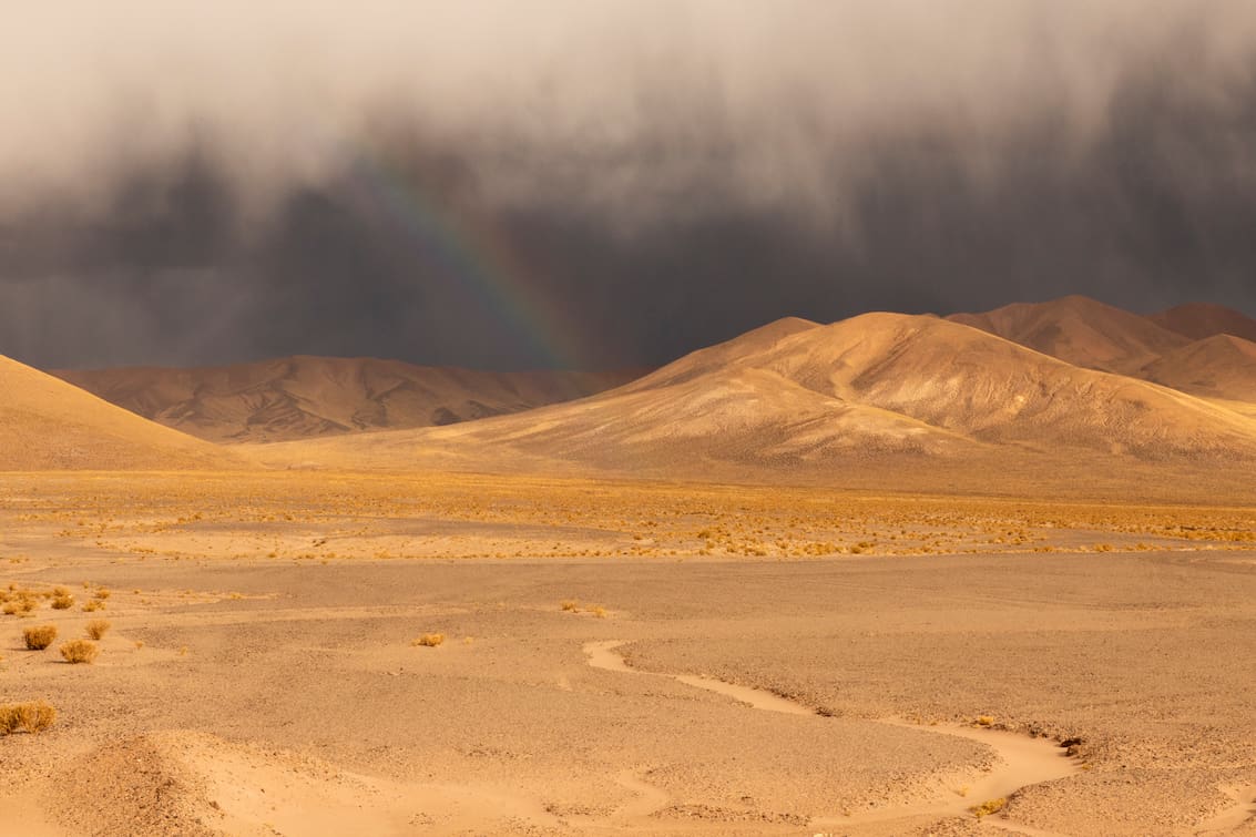 Ruta al desierto: el viaje de Jujuy a Atacama en auto