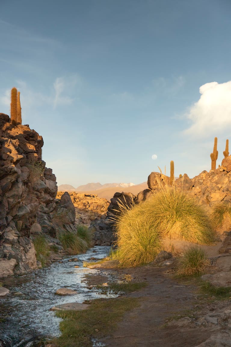 El Cañón de los Cactus, un sitio único del río Vilama. Valeria Heindl, guía experta y apasionada del conservacionismo
Fotos: Carolina Castagnola