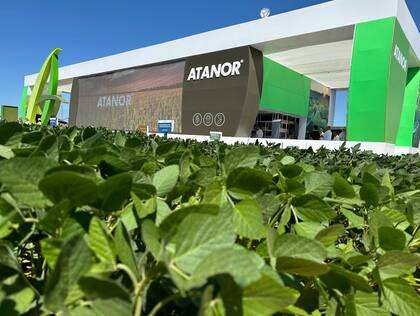 Atanor pertenece a Albaugh