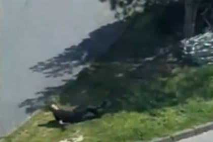 Ataque al consulado israelí en Turquía