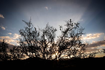 Atardecer en La Caledonia.