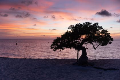 Atardecer icónico con el fofoti en Eagle Beach