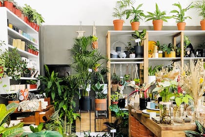 Atelier botánico, un vivero con productos cuidadosamente curados.
