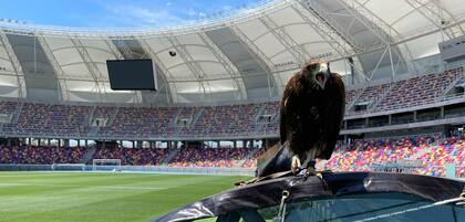 Atenas vigila el césped