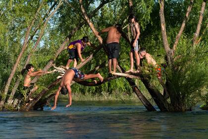 Un grupo de adolescentes aprovecha los sauces para zambullirse en el río Limay en Isla Verde, Neuquén, durante el tórrido diciembre de 2022; foto de Emiliano Ortiz