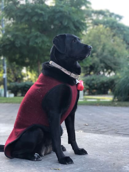 Atenea fue ganando confianza poco a poco