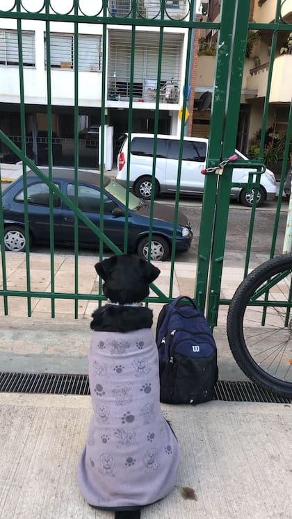 Atenea junto a la bicicleta de Federico y lista para arrancar el día.