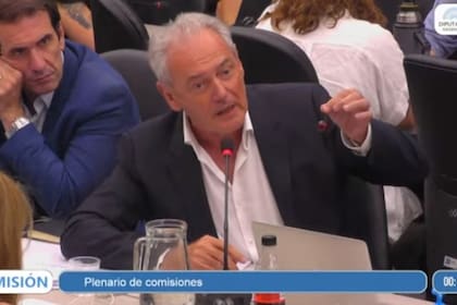 Atilio Benedetti, de la UCR-Entre Ríos: “Cuál es el criterio para que los granos sin agregado de valor tienen 2, 3 puntos (de aumento) y por qué las economías regionales aumentan 4, 8 o 15 puntos”