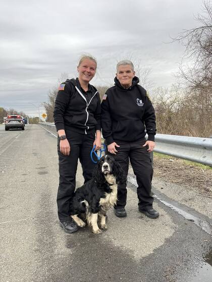 Atrapado en el fondo del desagüe destapado, había un animal asustado.