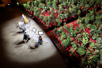 El Gran Teatre del Liceu de Barcelona reinició su actividad en junio con un concierto para plantas, idea de un artista conceptual, transmitido por streaming