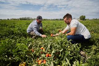 Buenos Aires: un alivio para las pymes del agro