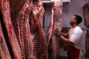 En enero las exportaciones de carne vacuna tuvieron una leve caída en volumen