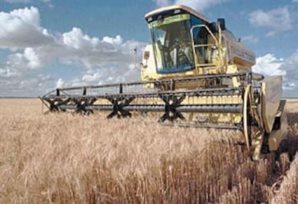 Además de gestionar los cultivos, el productor invierte capital propio y se apalanca en financiamiento de bancos y proveedores: compra insumos y contrata labores y otros servicios mientras enfrenta la incertidumbre del clima, de los costos y de los precios de los granos