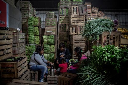 Aunque dependen más del sistema público de salud por la precariedad en la que muchos trabajan, el efectivo uso de esas prestaciones no se cumple en muchos casos