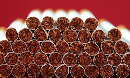 Aunque el daño que han ocasionado los cigarrillos es indiscutible, el tabaco posee un gran potencial para otros fines