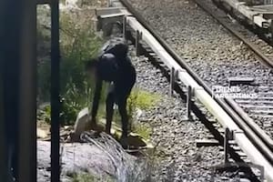 Aunque el joven no presenta antecedentes penales, las autoridades investigan si estuvo involucrado en otros ilícitos