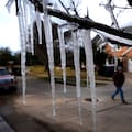 El fenómeno de la savia congelada que rompe árboles y suena como disparos de hielo este invierno en EE.UU.