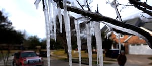 El fenómeno de la savia congelada que rompe árboles y suena como disparos de hielo este invierno en EE.UU.