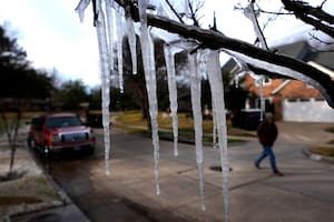 El fenómeno de la savia congelada que rompe árboles y suena como disparos de hielo este invierno en EE.UU.