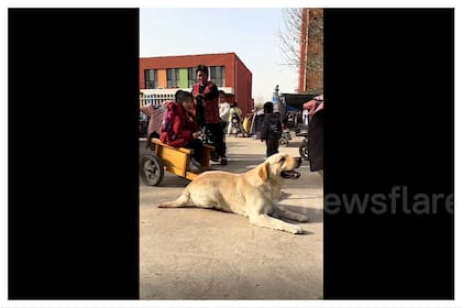 Aunque el video fue borrado de X, fue reposteado en diversos lugares donde logró conseguir miles de visitas