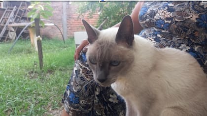 “Aunque estuvo pocos años con nosotros, su presencia fue intensa. Hoy, a casi un año de su partida, su recuerdo sigue vivo".