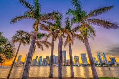 Aunque la nieve es extremadamente rara en Florida, la región norte del Panhandle y ciudades como Tallahassee pueden registrar ocasionalmente nevadas ligeras o aguanieve