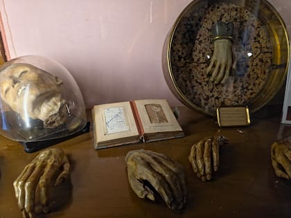 Aunque las colecciones del MUSA son científicas, muchas piezas tienen una fuerte dimensión artística