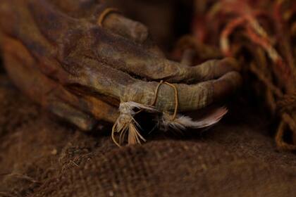 Aunque los expertos no han podido precisar el sitio exacto en que nació, se cree que la niña habitó una región del altiplano cercana a La Paz.