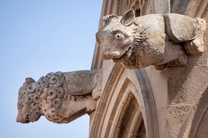 Aunque muchas gárgolas y quimeras se perdieron en el fuego, otras siguieron en pie y se convirtieron en símbolo de resiliencia y una marca registrada del lugar