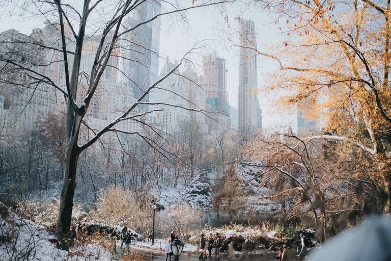 Va A Nevar En New York 2025