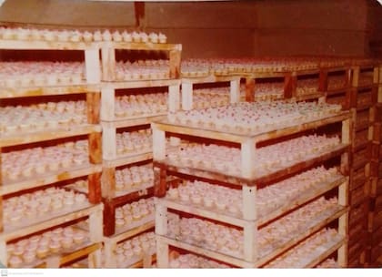 Aunque se fabricaban en Alta Gracia las gallinitas recorrieron el país