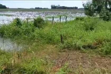 Aunque se registraron fenómenos destacados en el sur, la preocupación se centra en el extremo norte, donde se prevén más lluvias