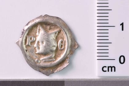 Aunque son pequeñas en tamaño, las piezas encontradas agregan un enorme valor histórico a la región