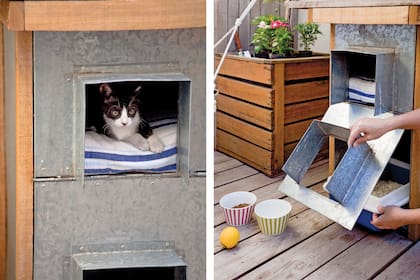 Aunque vivan en departamento, todos los animales deben llevar su placa identificatoria