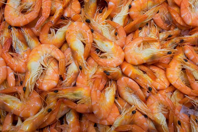 Nuevos aranceles de Trump generan incertidumbre en el agro argentino