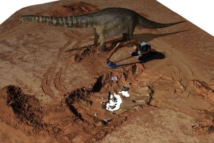 Australotitan cooperensis fue la especie de dinosaurio más grande que caminó en el interior de Australia