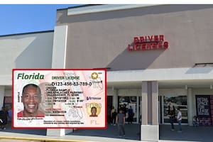 Noticias de Florida hoy: alerta en el DMV por fallas en trámites de licencias de conducir