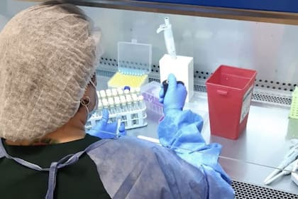 Autoridades sanitarias confirmaron la llegada de la nueva cepa de coronavirus