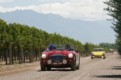 Un Austin Healey del 56