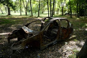 Un histórico espacio verde del conurbano, jaqueado por la desidia y los conflictos