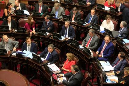 Avanza la sesión por el presupuesto 2019 en el Senado