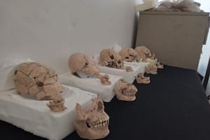 El descubrimiento en una zona maya en México que dejó atónitos a los investigadores