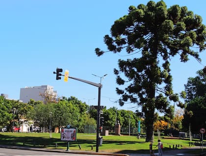 Avenida Congreso y Holmberg, para caminatas, gym, juegos y picnics.