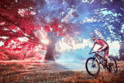 El bosque de Rude Skov, en la región de North Zealand de Dinamarca
