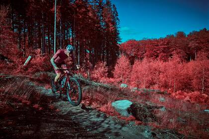 Una postal del bosque de Dinamarca tomada mediante fotografía infrarroja